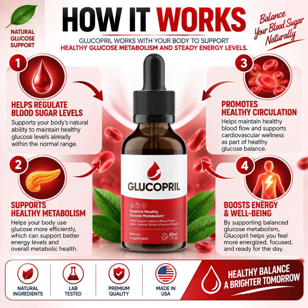 How GlucoPril works — regulates blood sugar, supports metabolism, promotes healthy circulation and boosts energy